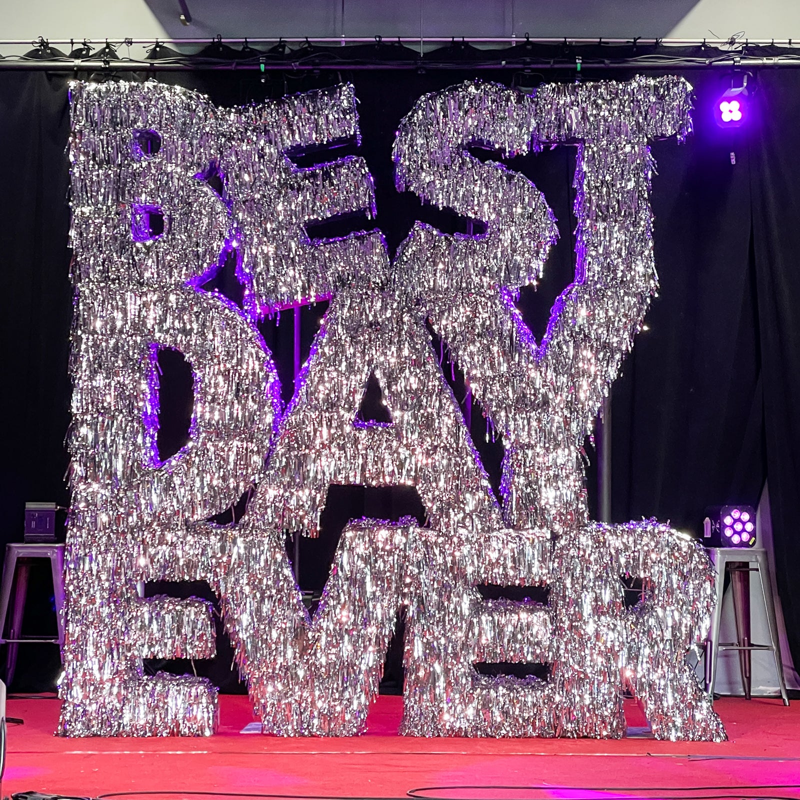 BEST DAY EVER Tinsel Letter Backdrop Rental | Ottawa Weddings