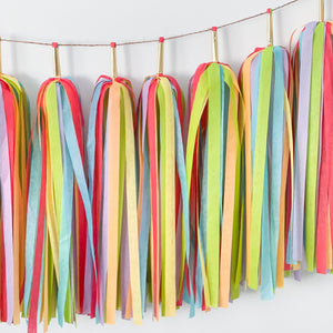 Rainbow Mingle Tassel Garland [Deluxe] - Rainbow Birthday Party - LGBTQ+ Pride Celebrations - Wedding Backdrop - Fiesta - 