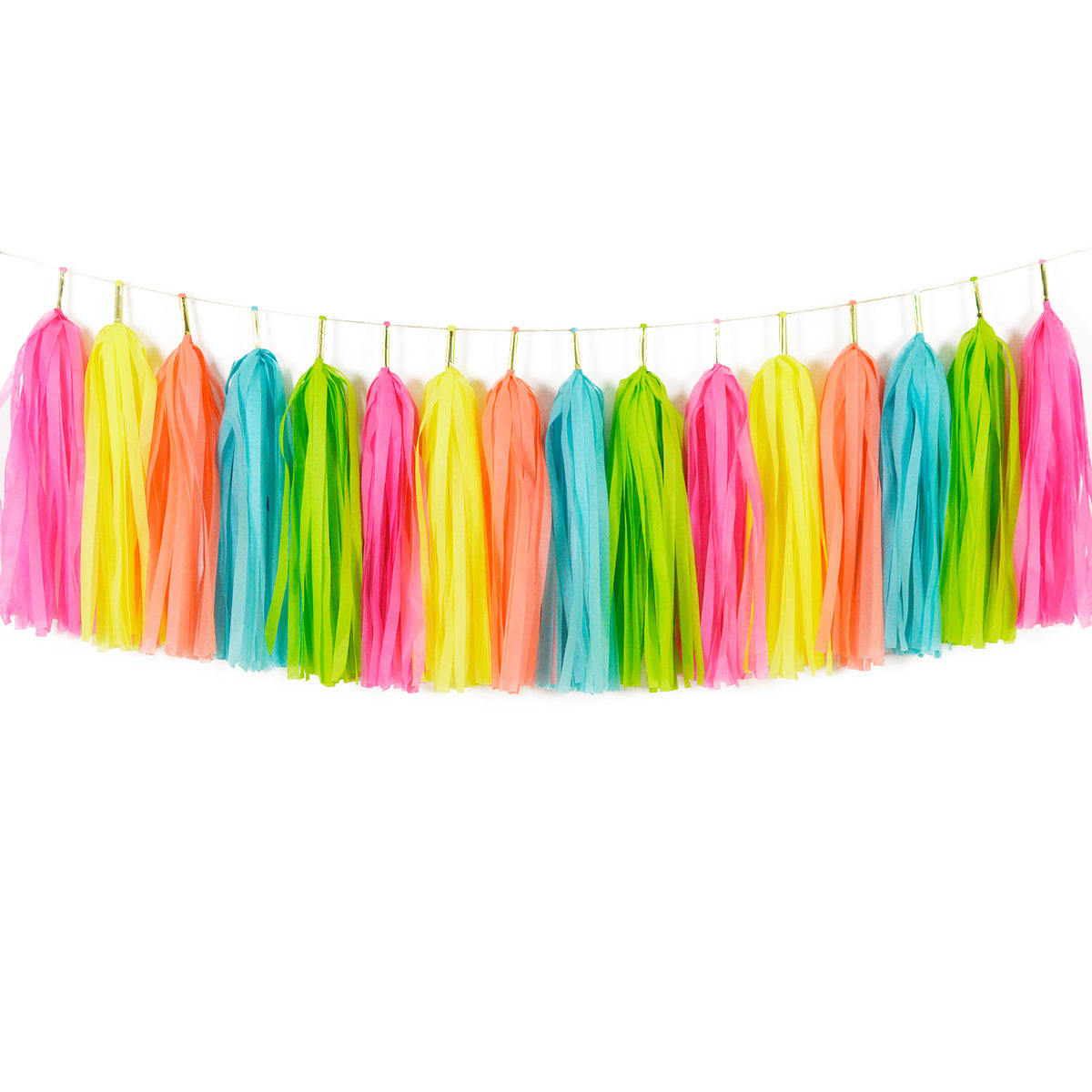 aloha hawaii fruit party banner, summer tassel garland, tutti fruity birthday decoration