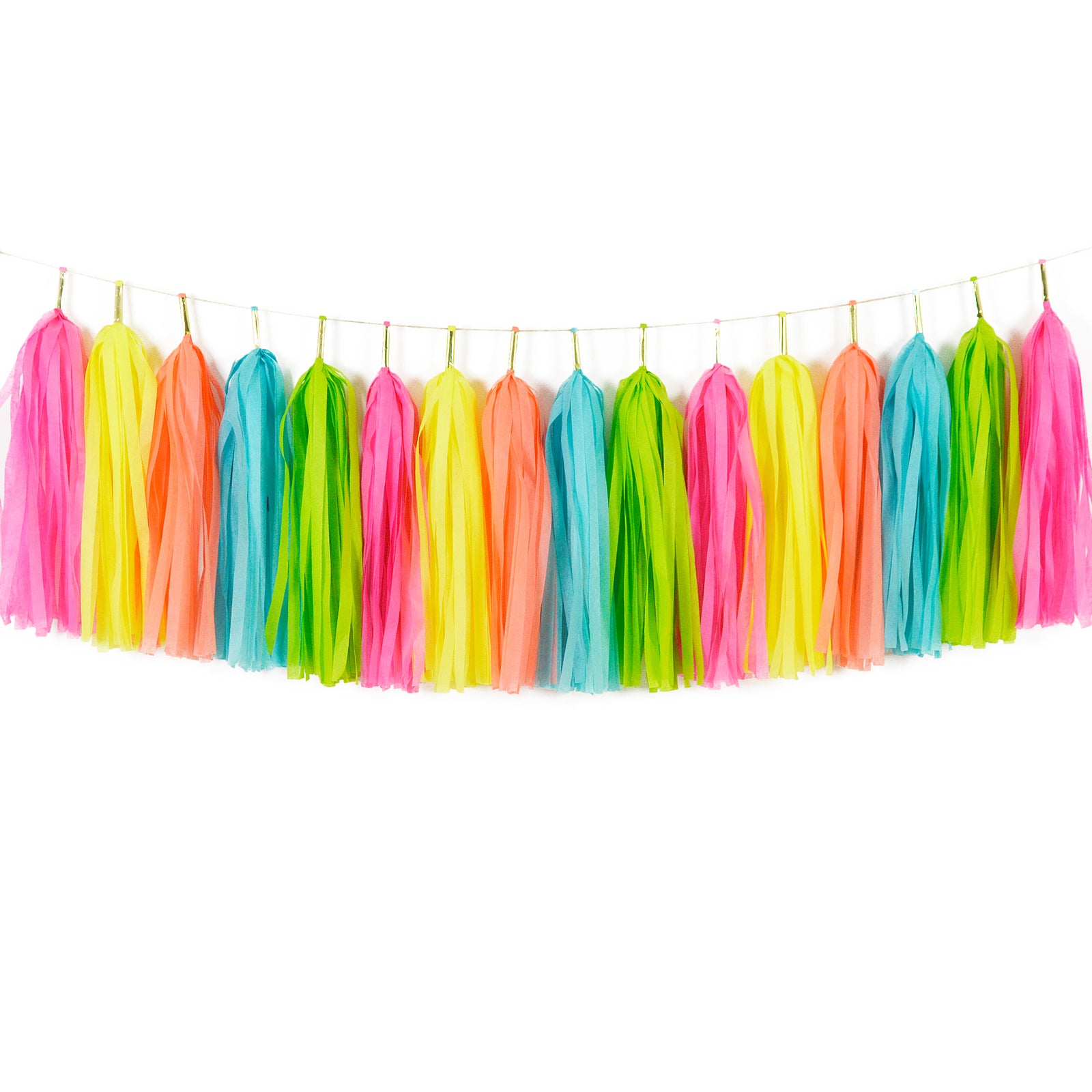 aloha hawaii fruit party banner, summer tassel garland, tutti fruity birthday decoration