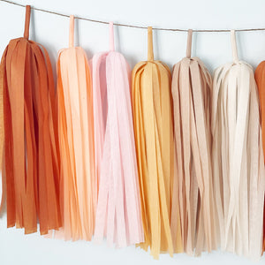 Blush Groovy Tassel Garland - Retro Hippie Bohemian 70s Groovy Birthday Party Decoration