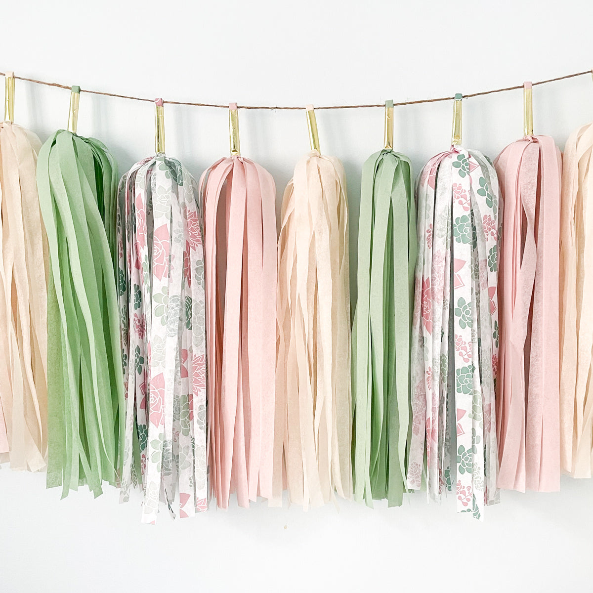 Succulents Tassel Garland - Bohemian Desert Cactus Birthday Party Banner - Boho Hippie Bridal Shower Pale Pink Green Backdrop Decors - Bohemian Baby Shower