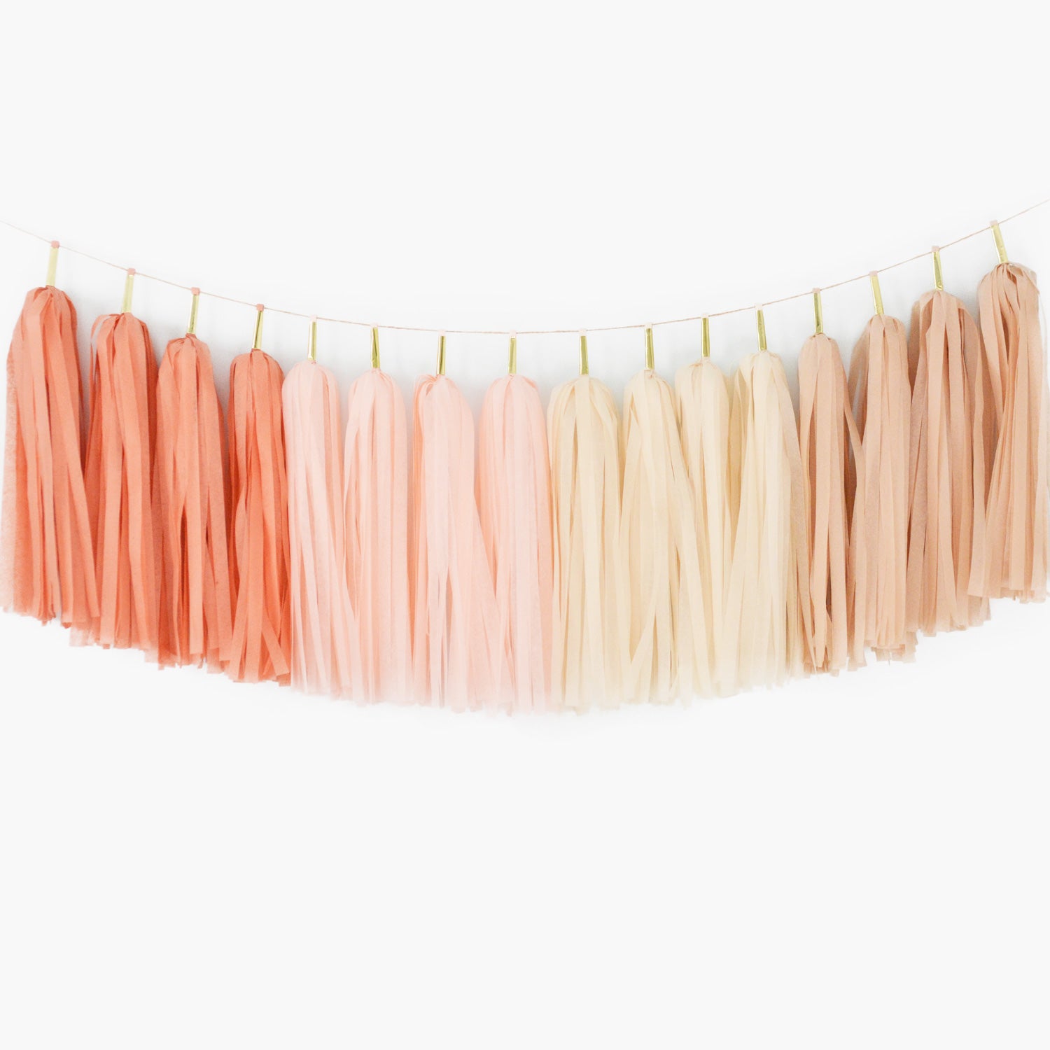 Terra Cotta Boho Tassel Garland